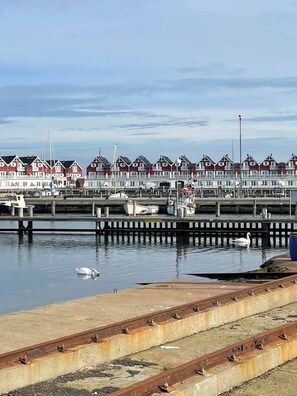Vista al agua con una hilera de casas rojas y blancas, barcos amarrados al muelle y un cisne nadando.