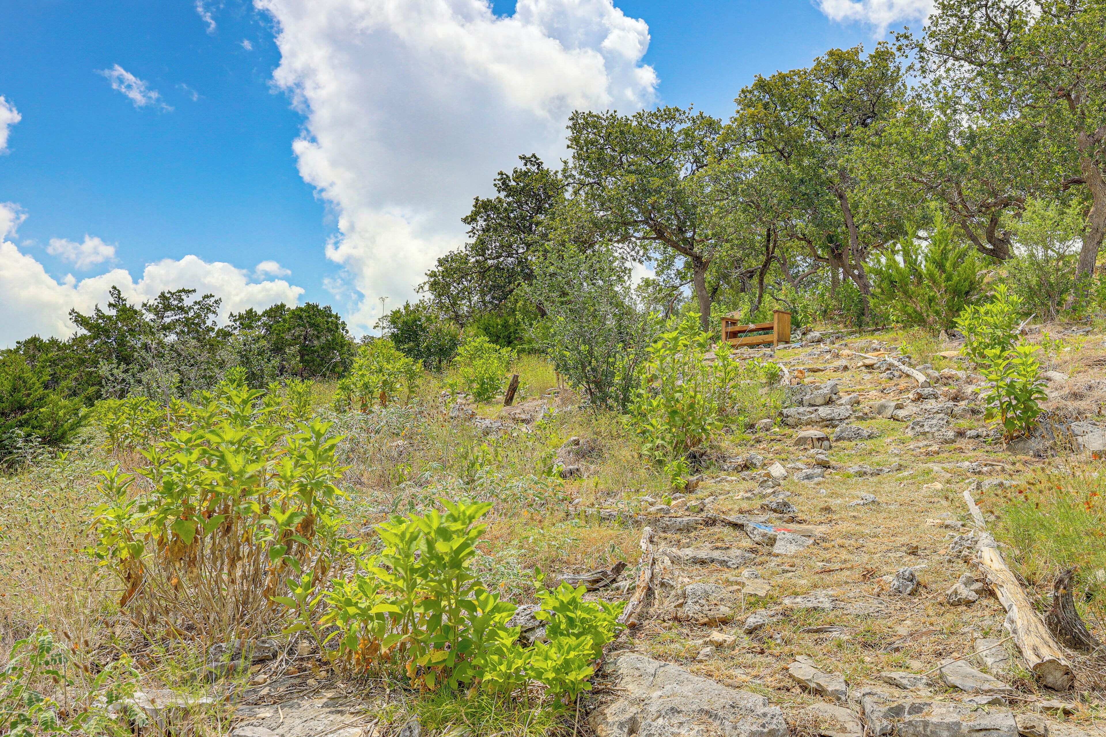 A natural outdoor setting with a wooden structure on a rocky path, surrounded by various trees and vegetation.