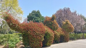Un sendero pavimentado bordeado por arbustos y árboles de diversas formas, incluyendo un arbusto rojo y verde con forma de dinosaurio y un gran árbol con flores rosas.