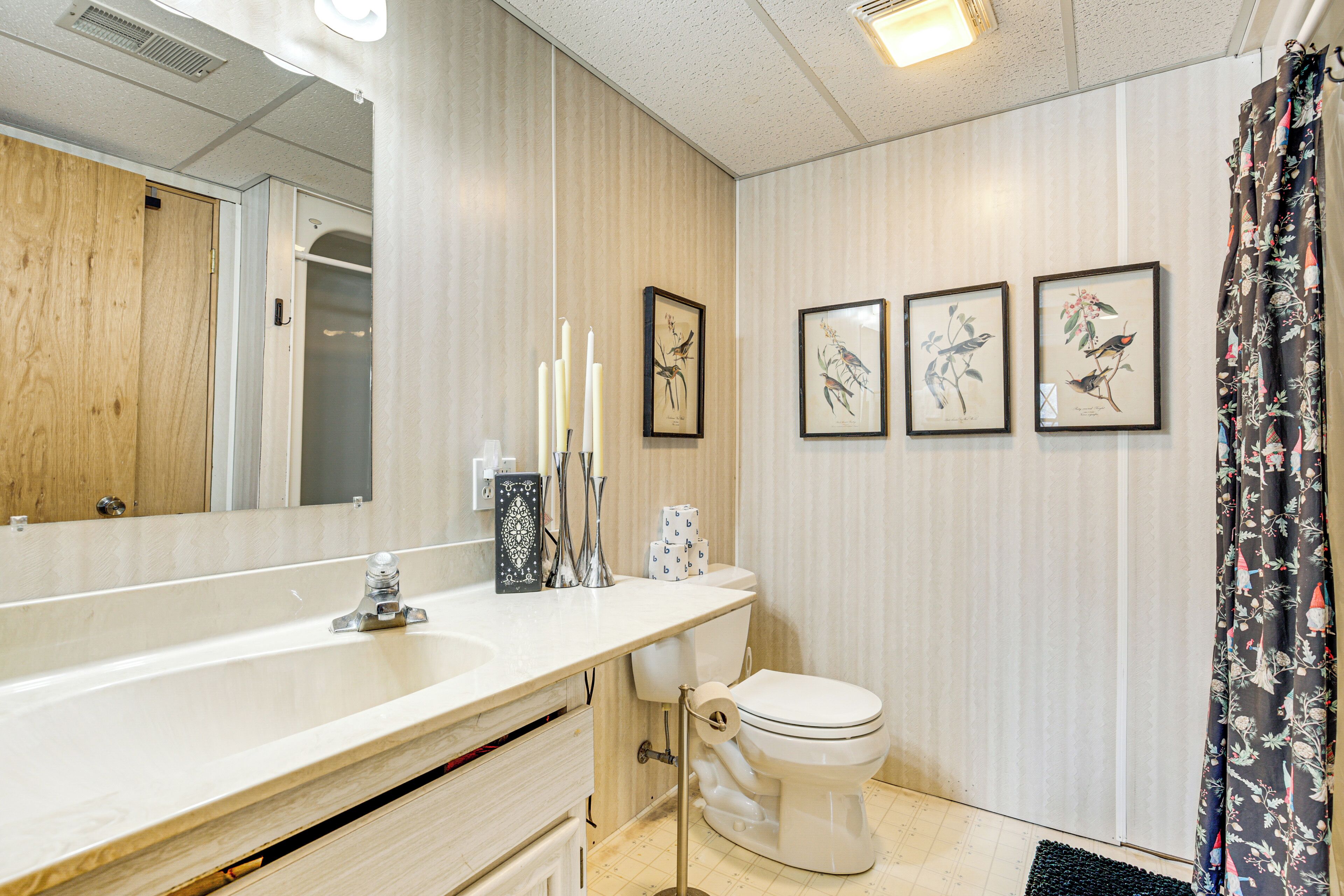 Ein Badezimmer mit einem großen Spiegel, einem Waschbecken, einer Toilette und drei gerahmten Vogelbildern an der Wand.