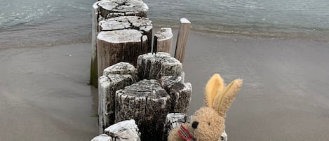 A wooden post structure leading to a beach with a stuffed toy placed on one of the posts.