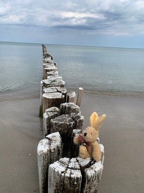 Une structure faite de poteaux en bois qui mène à une plage, avec un jouet en peluche placé sur l’un des poteaux.