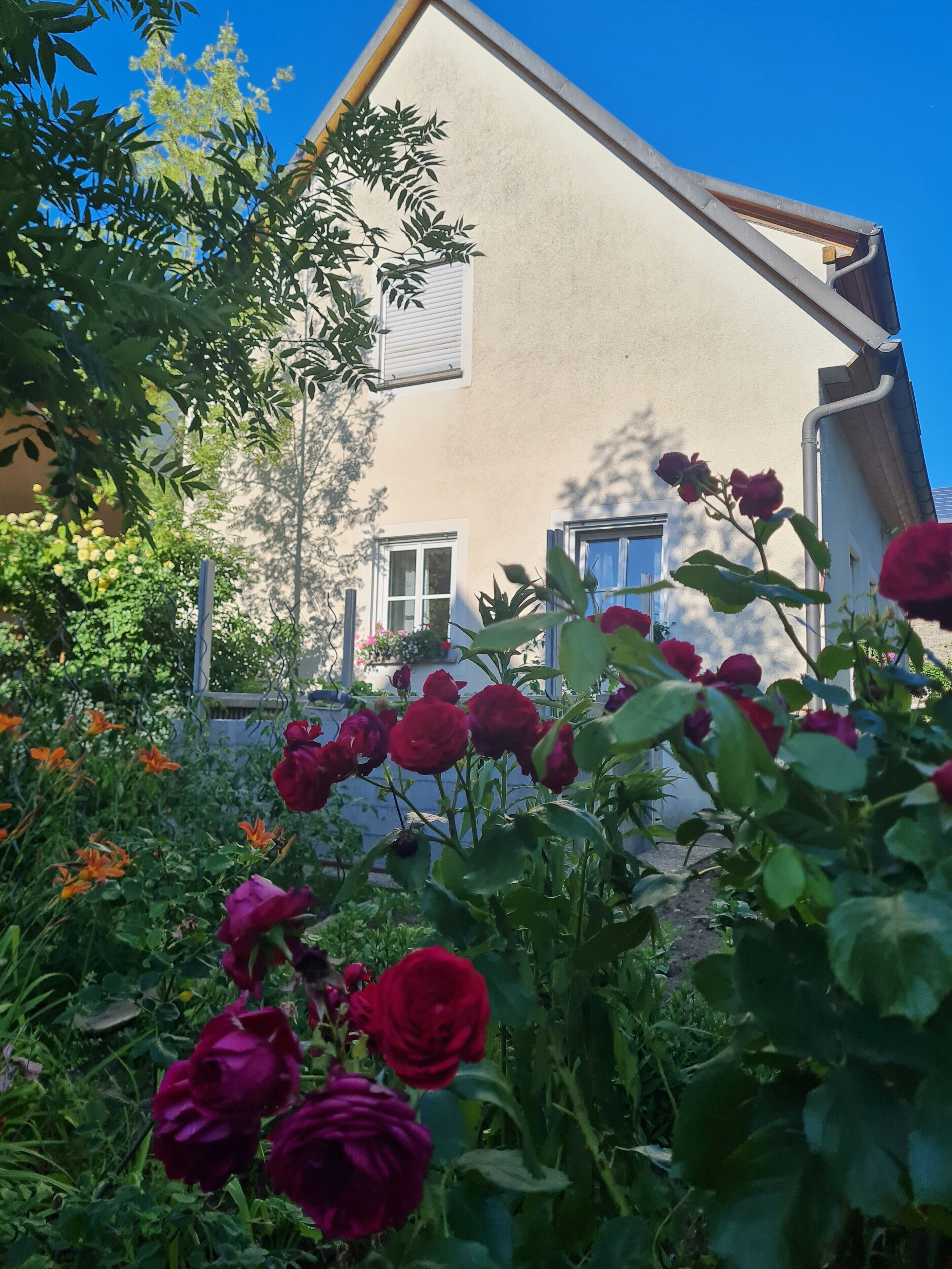 A house with a sloped roof, a window with shutters, and a garden with roses.