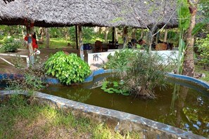 Property grounds - Diani Peaceful Garden (Ukunda)