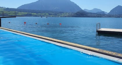 SwissHut Stunning Views Alps & Lake - Apart. Aeschlen Up
