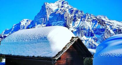 SwissHut Stunning Views Alps & Lake - Chalet Emmit
