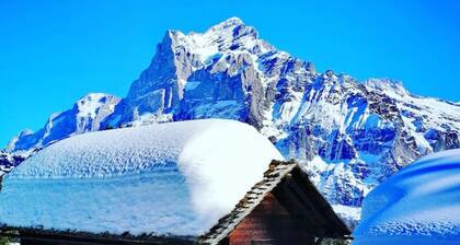 SwissHut Modern 10min Interlaken West Station - Apart. Blume 1