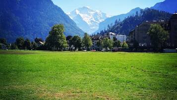 Ein grasbewachsenes Feld mit roten Blumen im Vordergrund, eine Bergkette im Hintergrund und Gebäude im traditionellen Baustil.