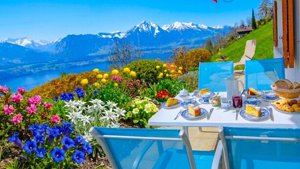 A table set outdoors with a mountain view, surrounded by colorful flowers.
