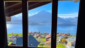 Vista a través de una ventana de una zona residencial con casas, un lago y montañas al fondo.