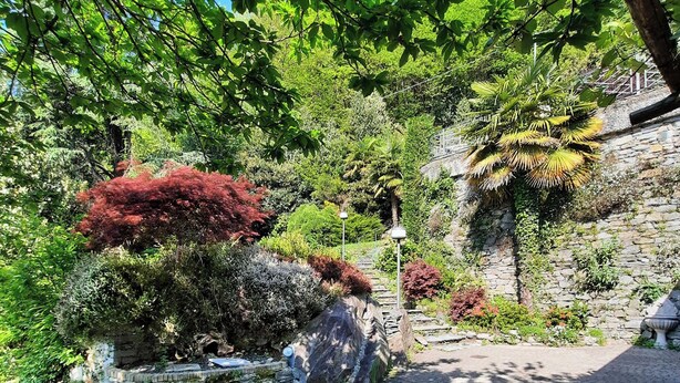 A paved pathway in a garden with various shrubs and trees, including red foliage and a palm tree.