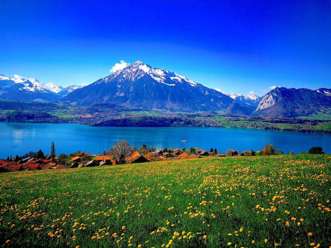 A mountain landscape with a lake and a field of yellow flowers in the foreground.