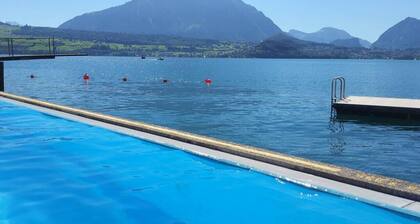 SwissHut Modern Chalet with Spa - Chalet Beunden