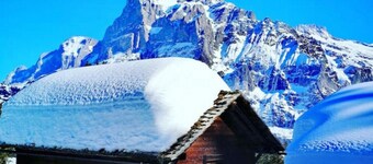 SwissHut Stunning Views Alps & Lake - Apart. Erli Up