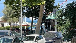 Uklassifisert bilde, 2 av 44, knapp