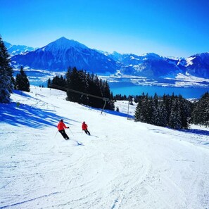 Snow and ski sports