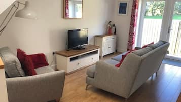 TV, DVD player, books