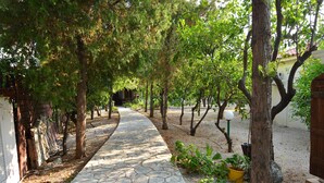 A paved pathway lined with trees and potted plants, leading to a building with a wooden door.
