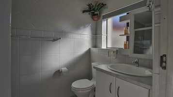 Hårtørrer, bidet, håndklæder, Sæbe