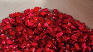 A large, shallow container filled with red rose petals. - Sanur Bali Villas by Premier Hospitality Asia (Denpasar)