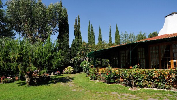Un jardin avec un bâtiment blanc, un chemin de pierre et divers arbres et arbustes.