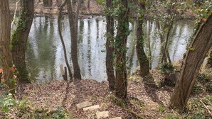 A natural setting with a stone path leading to a body of water surrounded by trees and foliage. - Charming single-storey house with saltwater pool. Completely renovated in 2022 (Espéraza)