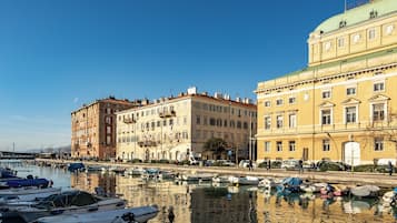 Family Apartment, 1 Bedroom, Microwave (Rijeka City Vibes Apartment) | Marina