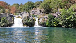 Ein Wasserfall stürzt über Felsen in einen klaren Fluss, umgeben von üppiger Vegetation.