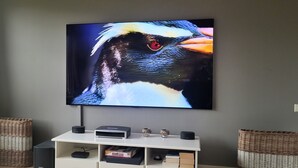 A television mounted on a wall displaying a bird. - Lovely family home in Laren (Laren)