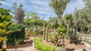 Ein Garten mit verschiedenen Kakteen und Pflanzen, Steinwegen und blauem Himmel.