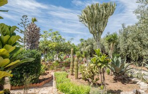 Property grounds - 4 bedroom lovely home in Donnalucata (Donnalucata)