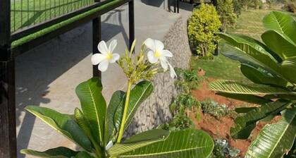 Amarjas DamTop Haven