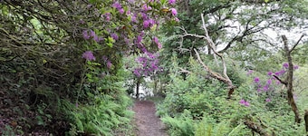 Cora's Cosy Cabin - 2-bedroom dog friendly chalet. Stunning views