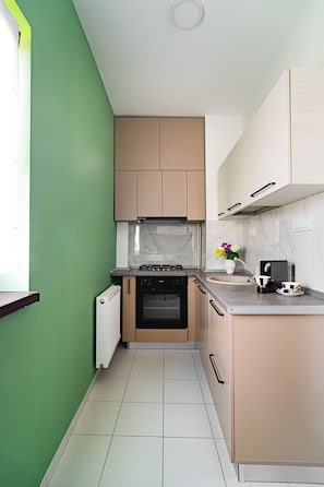 Studio | 1 bedroom, Internet - Cismigiu Park - Delightful and Fresh Studio (Bucharest)