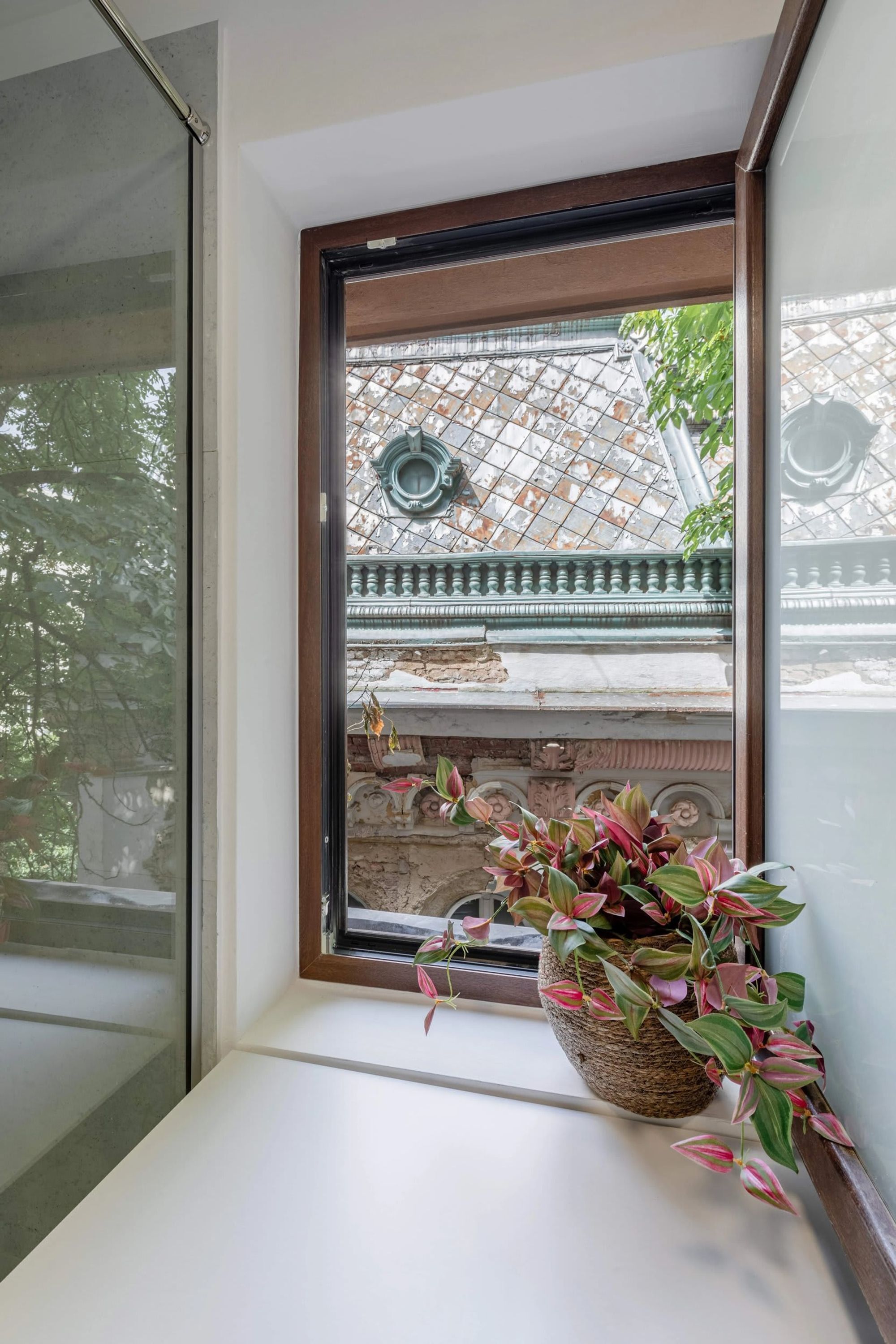 A window with a view of traditional architecture, a potted plant, and a metal railing.