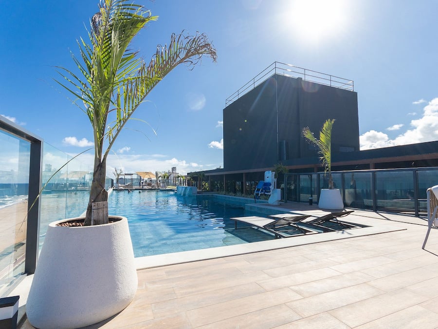 Piscina no terraço com vista para o oceano, uma grande planta em vaso e mobiliário de exterior moderno.