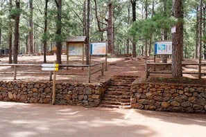 House | View from property