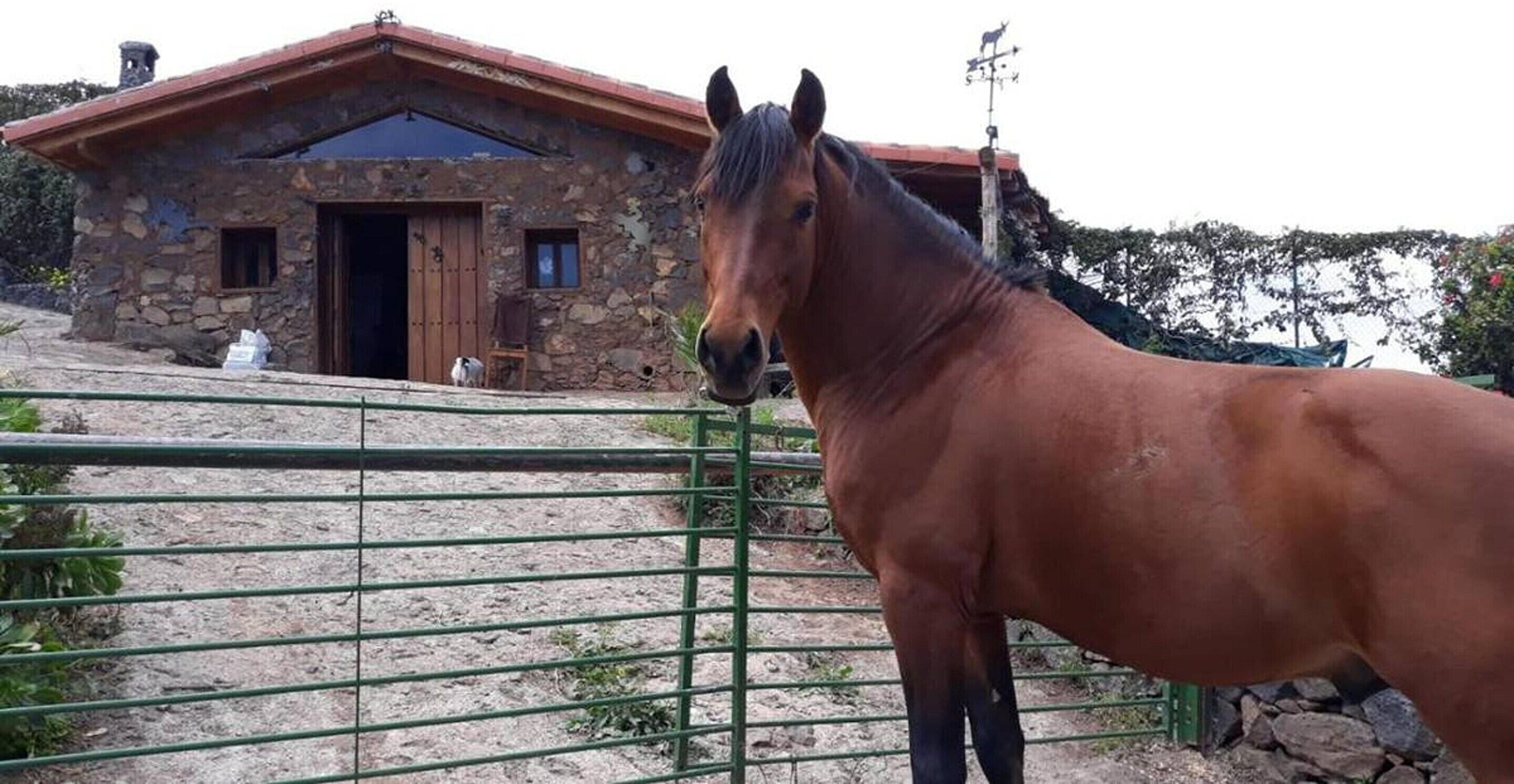 Fyrir utan