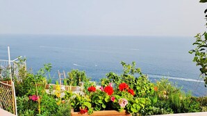 Un balcon avec vue sur la mer, agrémenté de plantes et de fleurs en pot.