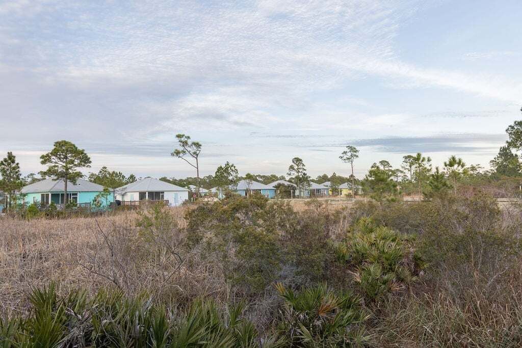 Ett bostadsområde med hus och tät vegetation.