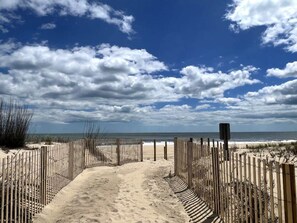 On the beach