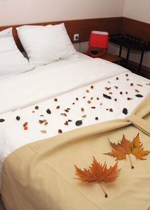 1 bedroom - Room in B&B - Hotel Tomce Sofka Skopje - Triple Room (Skopje)