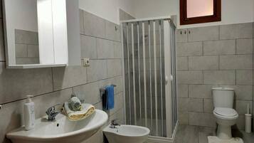 Shower, hair dryer, bidet, towels