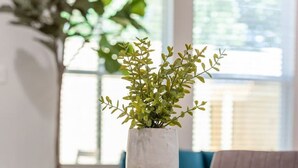 Une table à manger surmontée d’un vase blanc contenant des plantes vertes, entourée de chaises grises dans un intérieur moderne.