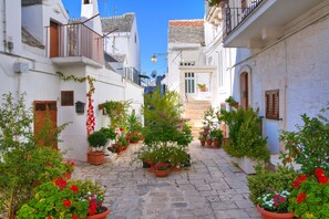 Property grounds - Bacco Apartment Noci (Noci)