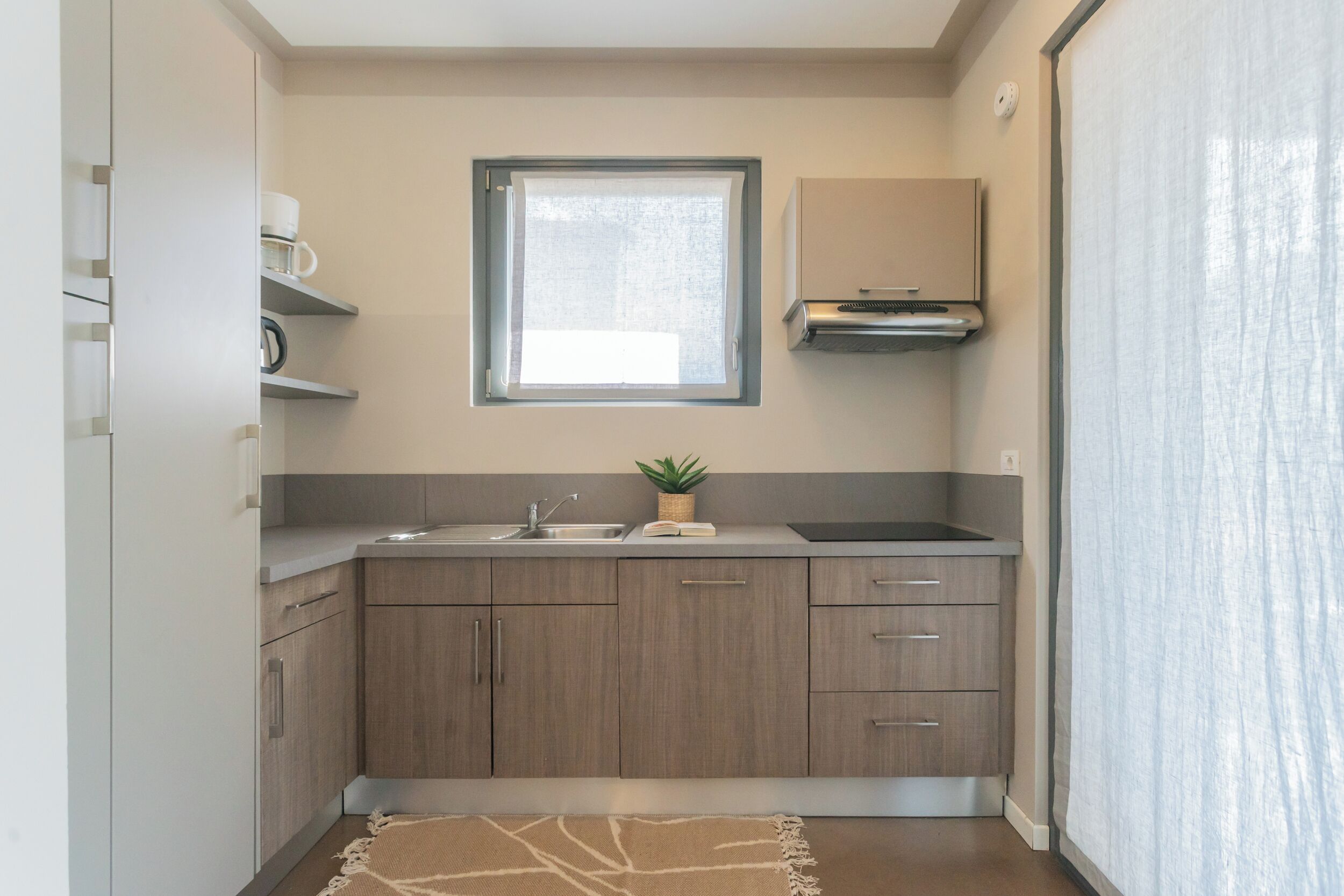 A compact kitchen with a window, built-in cabinets, a sink, and a small potted plant.