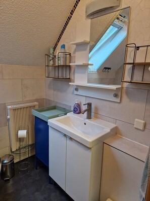 Ducha, secador de pelo, jabón, papel higiénico