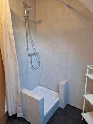 Shower, hair dryer, soap, toilet paper