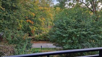 Blick auf einen Garten mit verschiedenen Bäumen und einem Pfad.