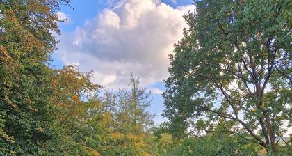 Beautiful vacation apartment at Kellerwald with balcony and garden - Ferienhaus Buml